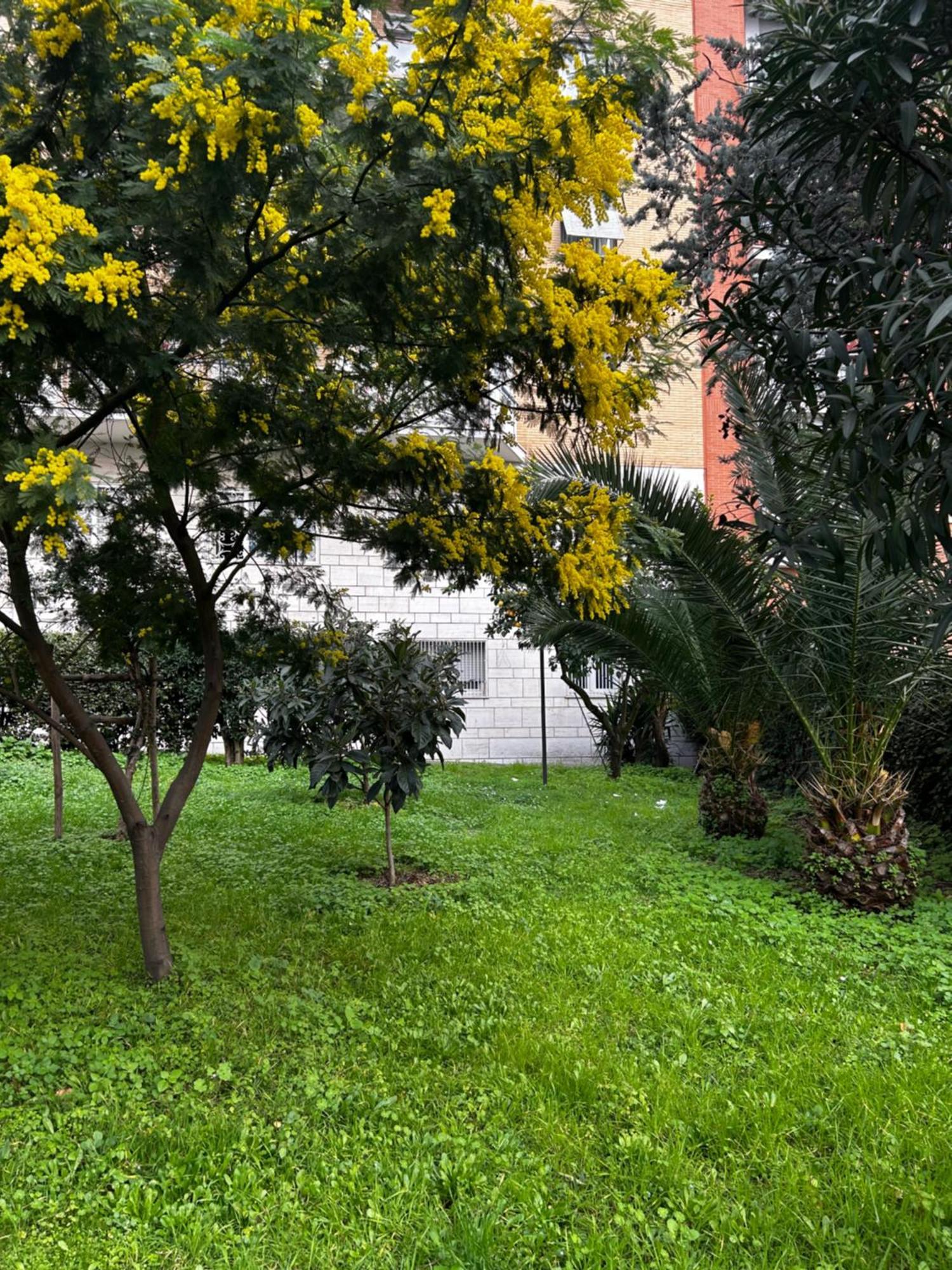 Bam Bam Tiburtina Guesthouse Řím Exteriér fotografie